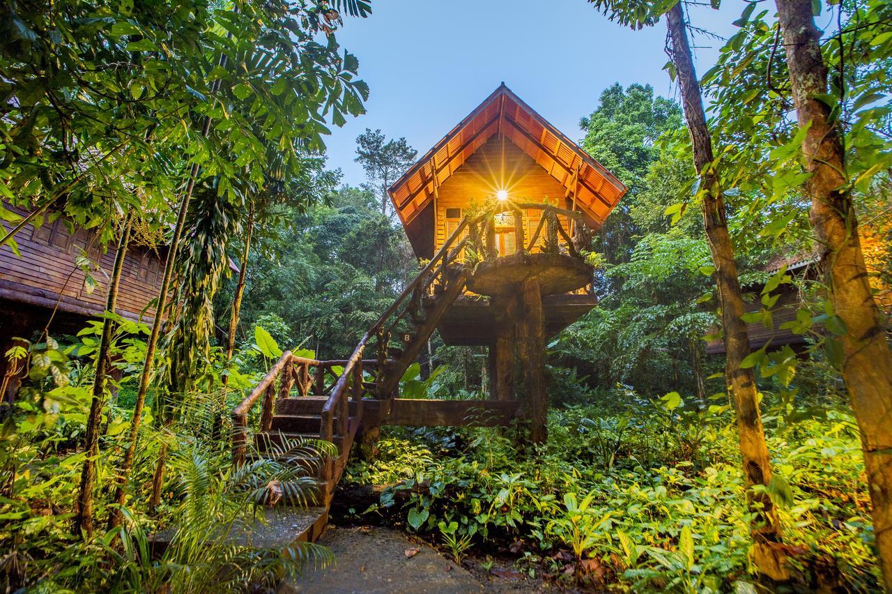 Art'S Riverview Lodge Khao Sok National Park Экстерьер фото