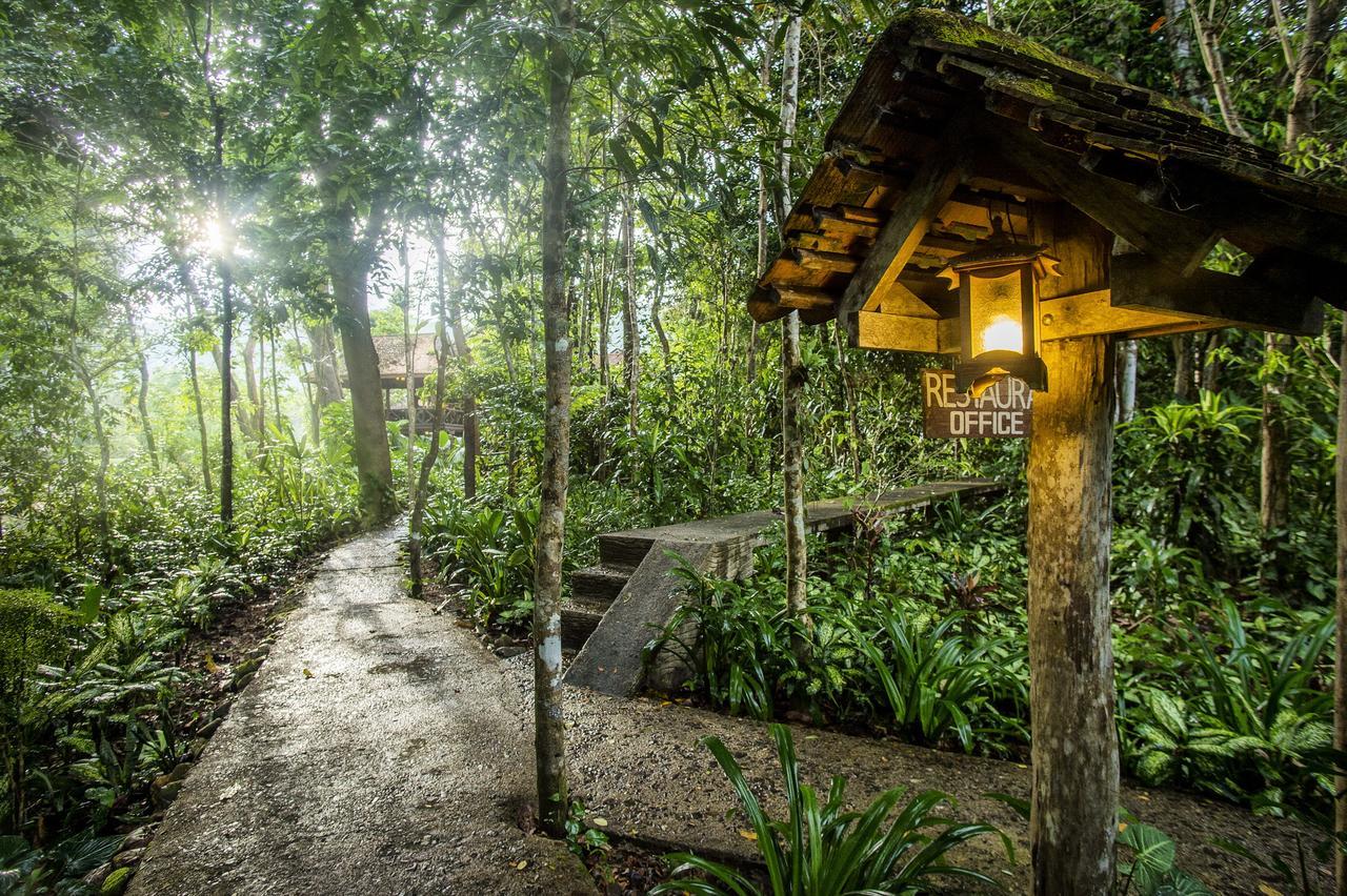Art'S Riverview Lodge Khao Sok National Park Экстерьер фото