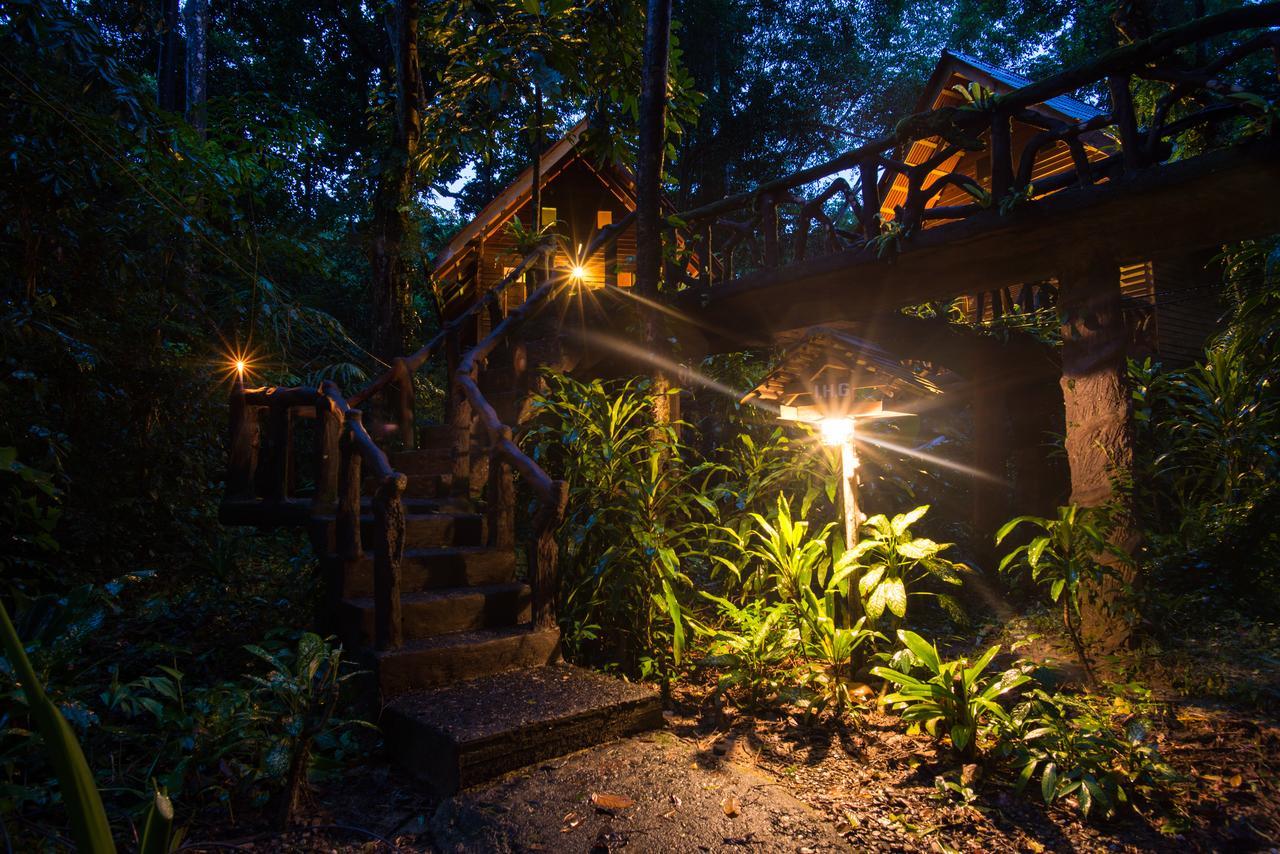Art'S Riverview Lodge Khao Sok National Park Экстерьер фото